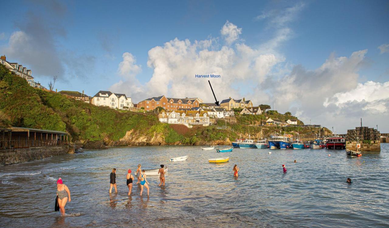 Harvest Moon Appartement New Quay Buitenkant foto